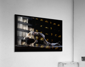 P2261008b Acrylic Print
