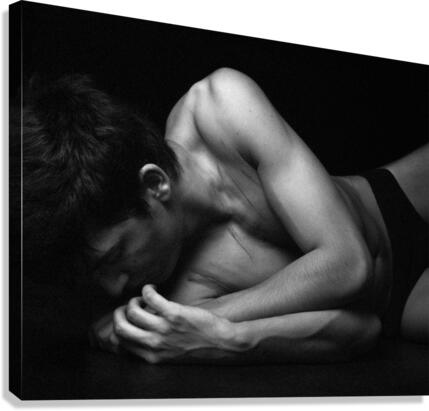 Triptyque 2 format 16 x 20 Canvas Print
