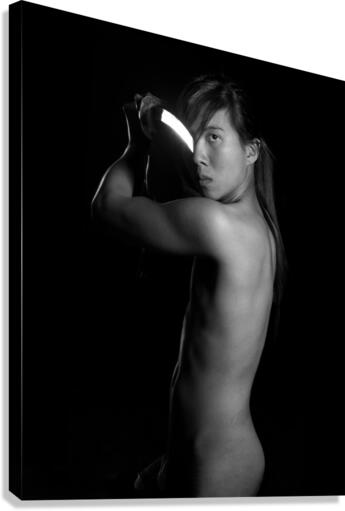 Pointing Sword 24x36 Canvas Print