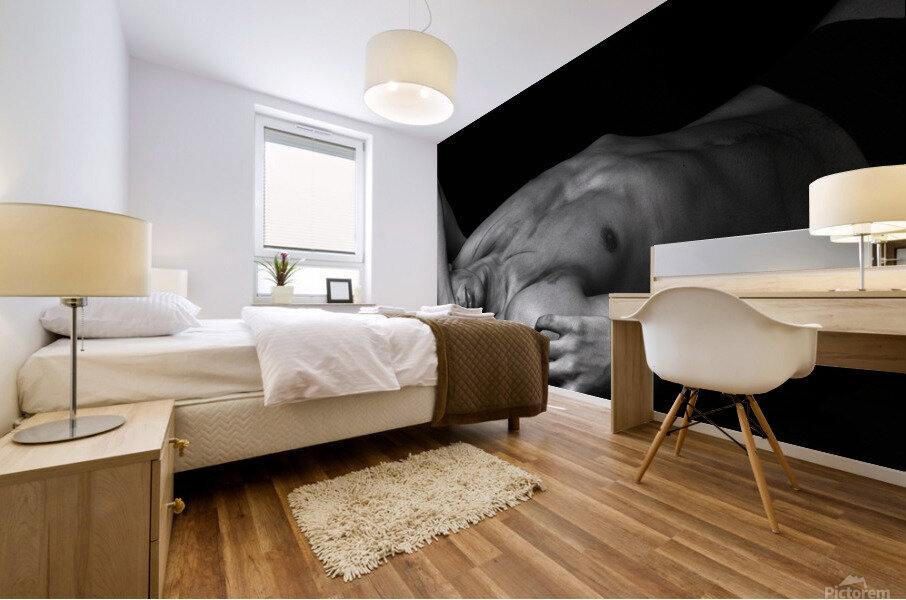 Triptyque1 format 16 x 20 Mural print