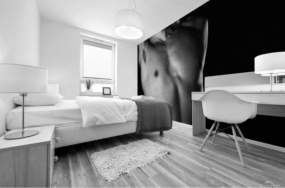 Torso 24x30 Mural print