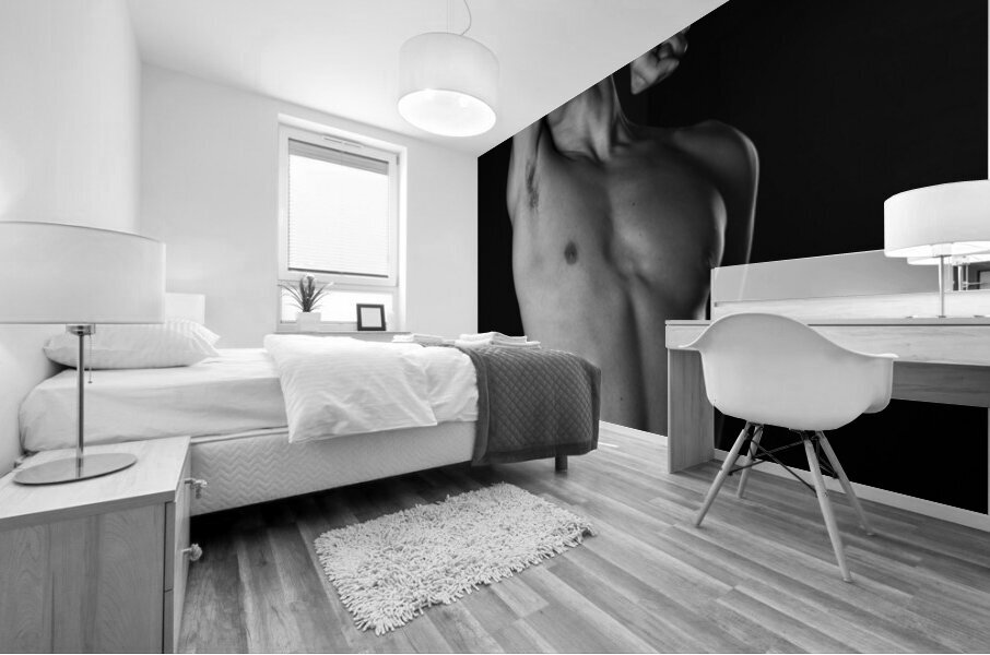Torso 24x30 Mural print