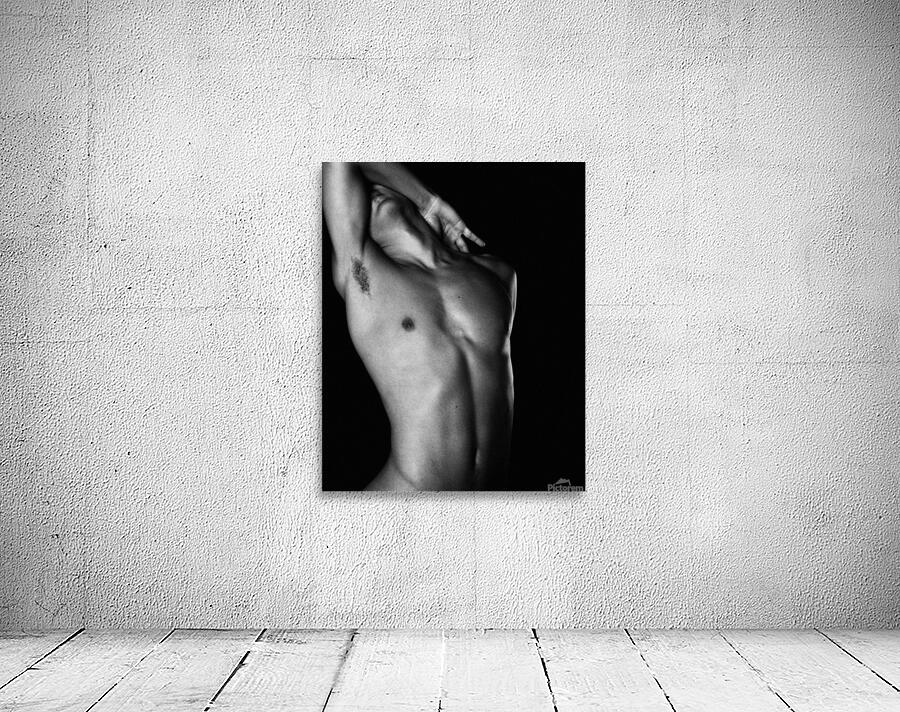 Torso 24x30 Wall Preview