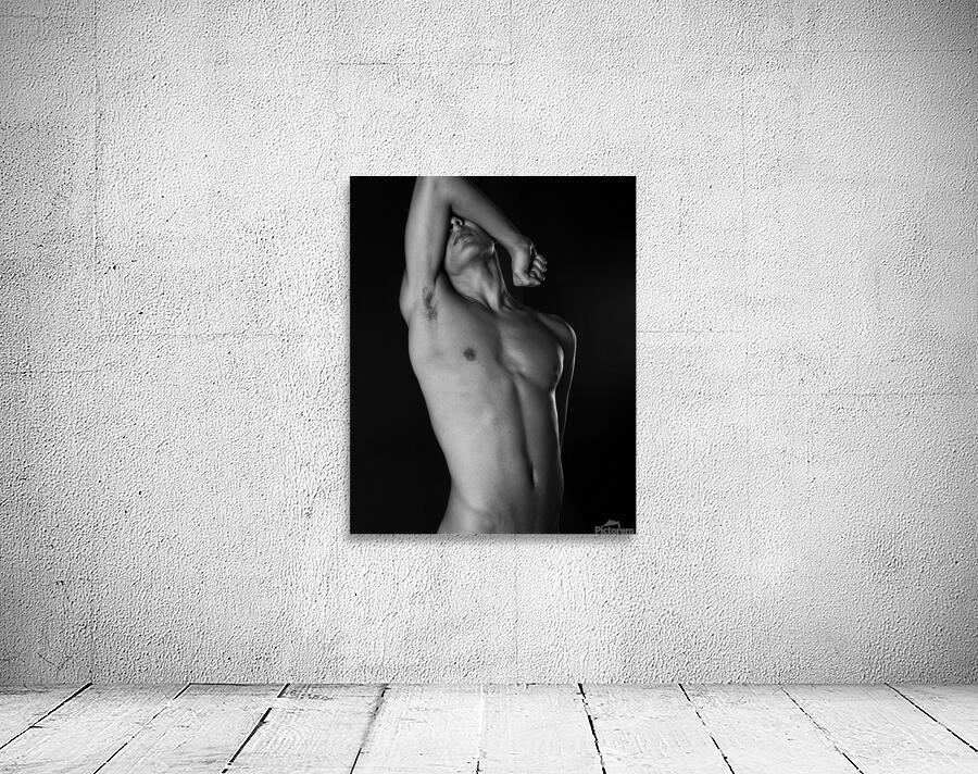 Torso 24x30 Wall Preview