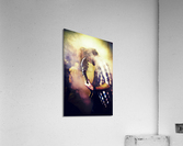 The guitarist  Acrylic Print