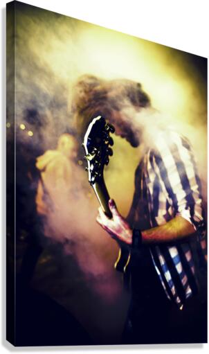 The guitarist  Canvas Print