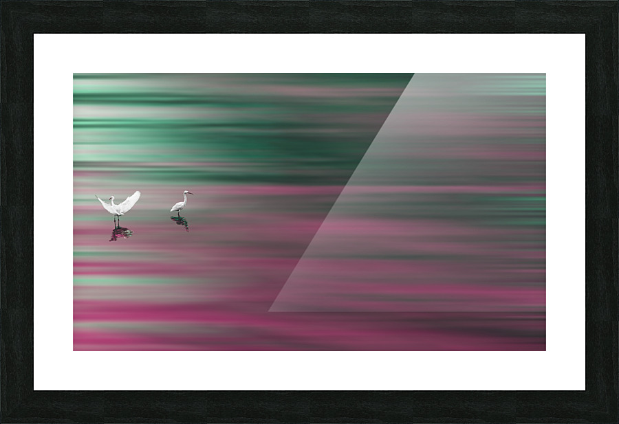 Birds Picture Frame print