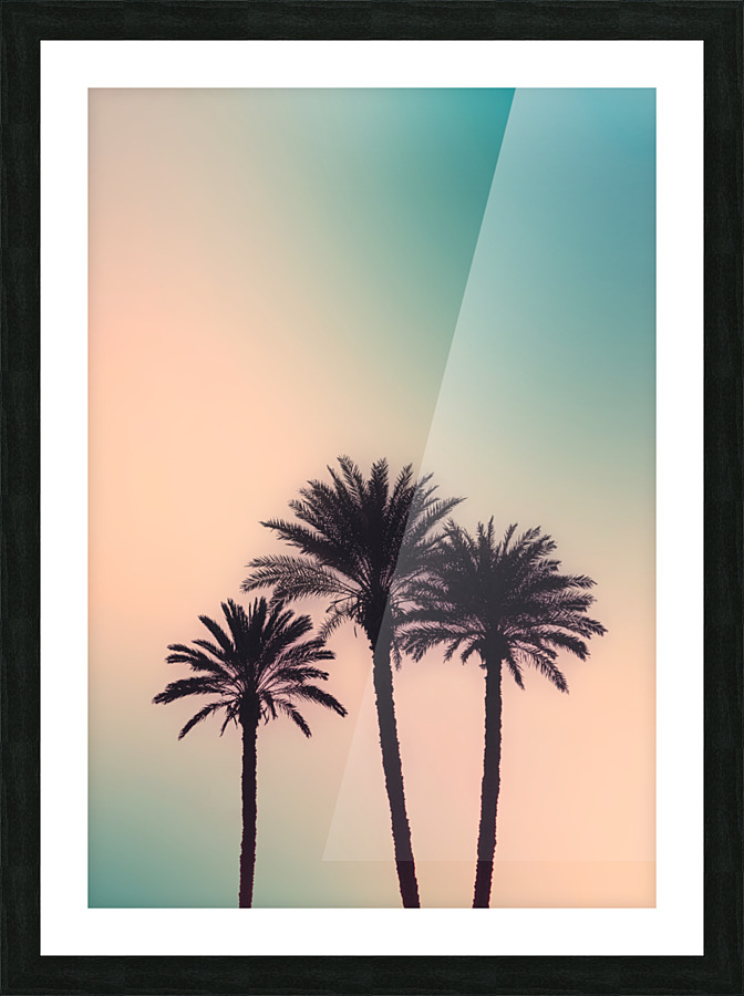 Palmtrees Picture Frame print