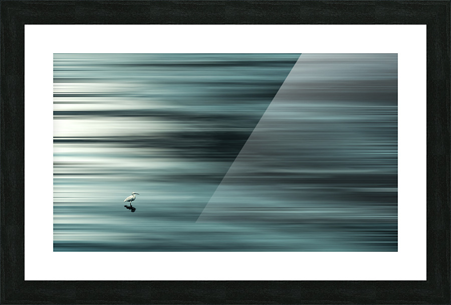Birdy Picture Frame print