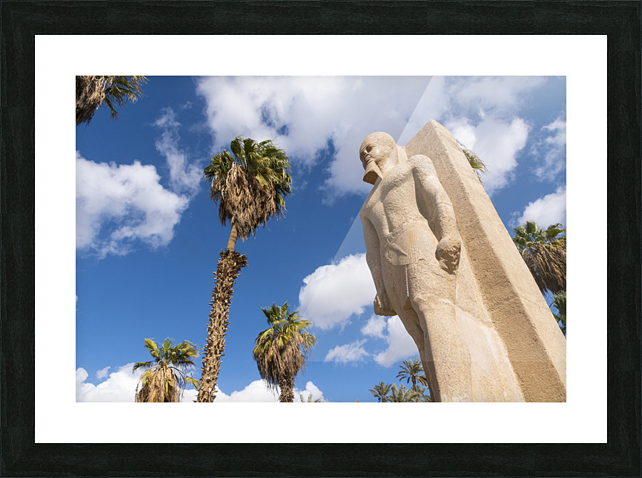 Ramsis the 2nd  Picture Frame print