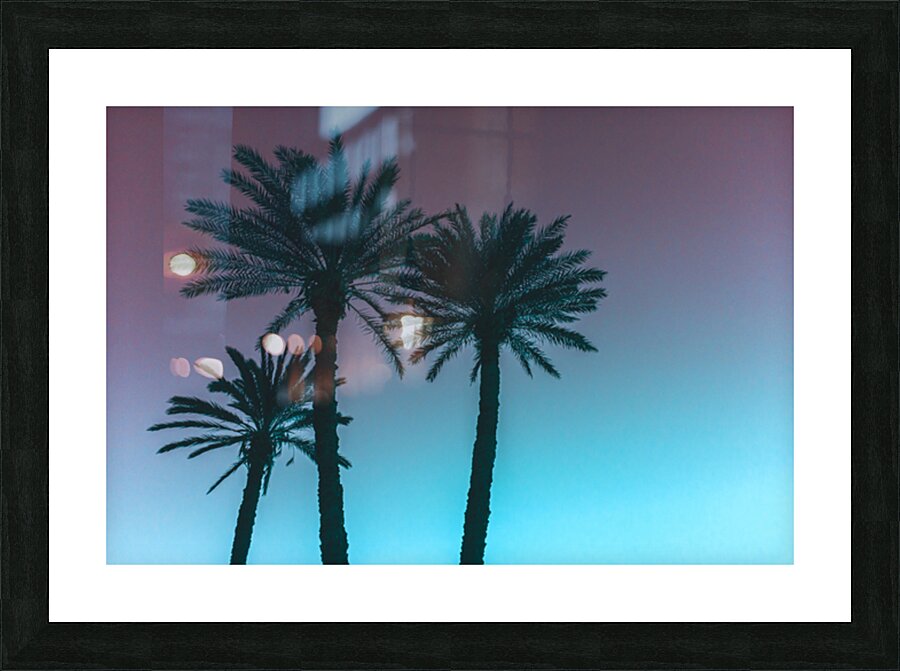 Palms Picture Frame print