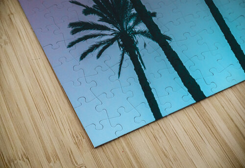 Palms Moe Ali puzzle