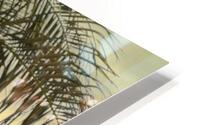 IMG 4898 HD Metal print