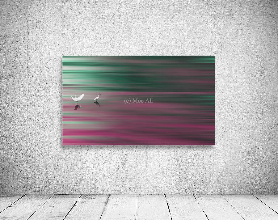Birds Wall Preview