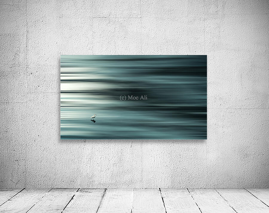 Birdy Wall Preview
