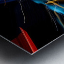 LLF 0512 Metal print