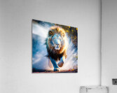 Lion Running Acrylic Print