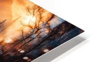 Sunset in the forest HD Metal print