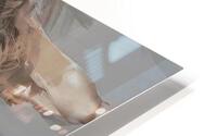 Flexibility HD Metal print