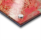                                                                      Dist.      ant planet.    Acrylic print