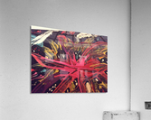                                Star fish Acrylic Print