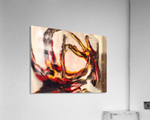 Claw. Acrylic Print