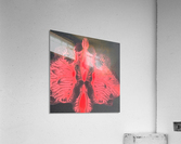                                        The moth Acrylic Print