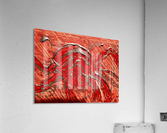 The crab Acrylic Print