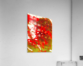                Saffron and pistachio  Acrylic Print