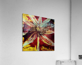 Wild dahlia  Acrylic Print