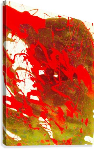                Saffron and pistachio  Canvas Print