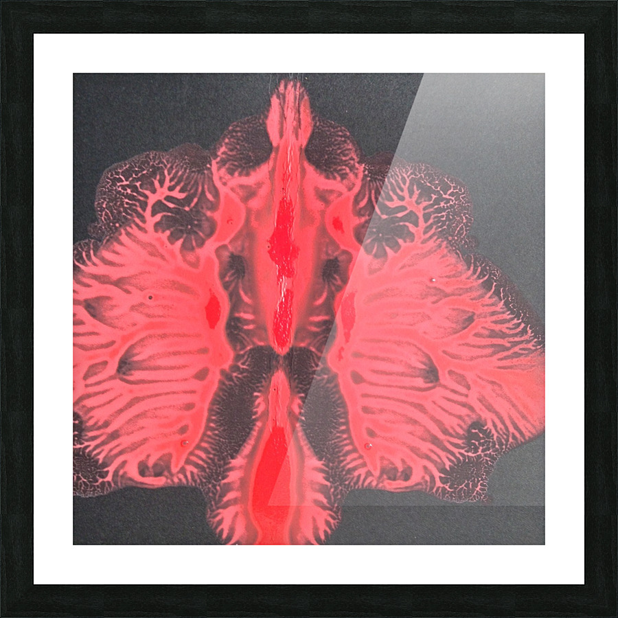                                         The moth Picture Frame print