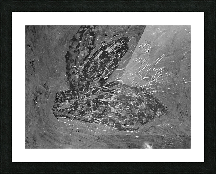 The winter hare Picture Frame print