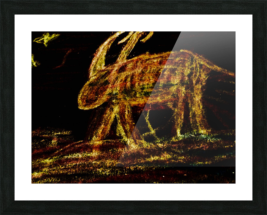             Night  lioness                               Picture Frame print