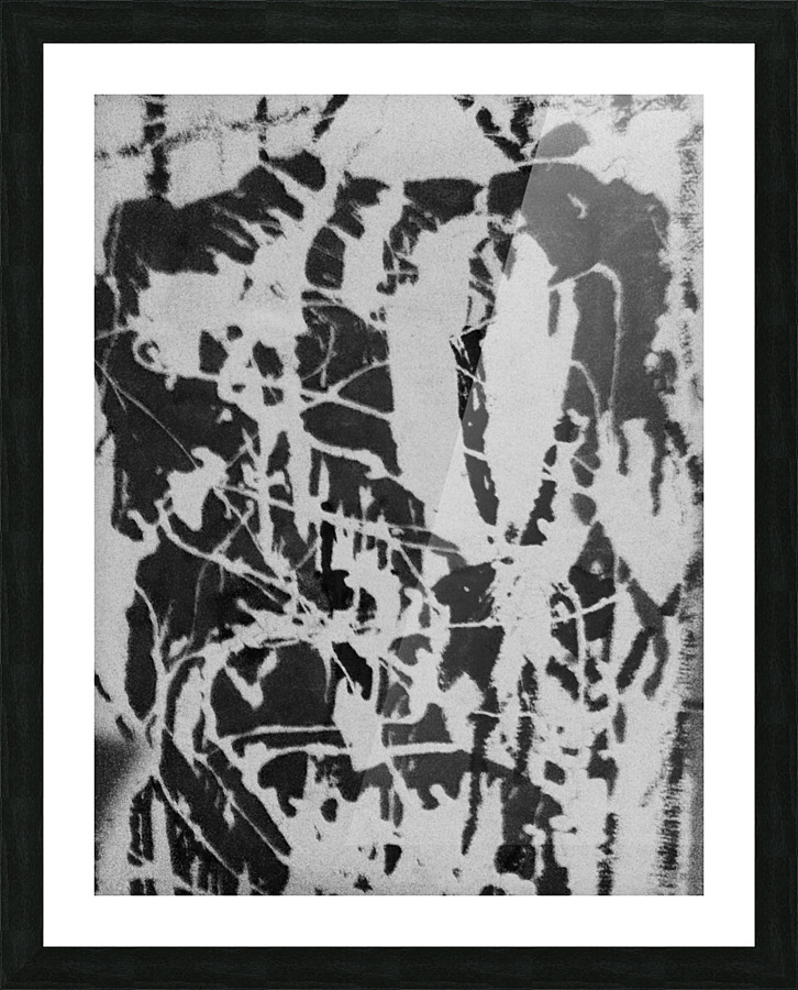          Mistreated.   Dog.                 Picture Frame print