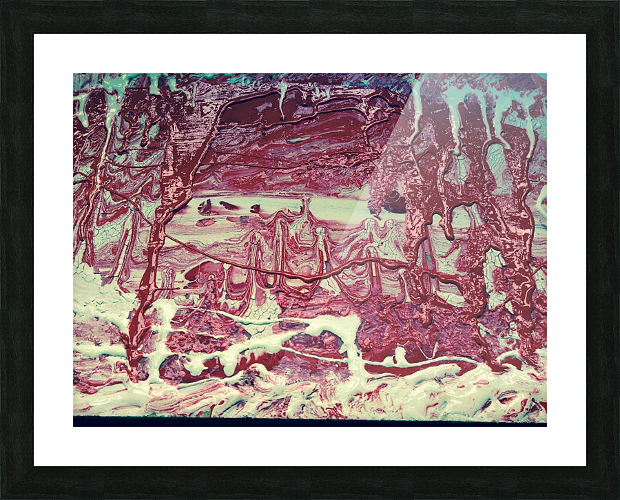      Enchanted. Land.               Picture Frame print