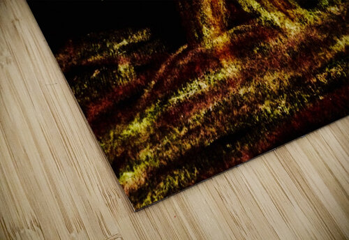             Night  lioness                               Texture and colour puzzle