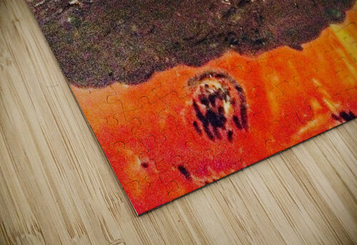 Asteroid  king           Texture and colour puzzle