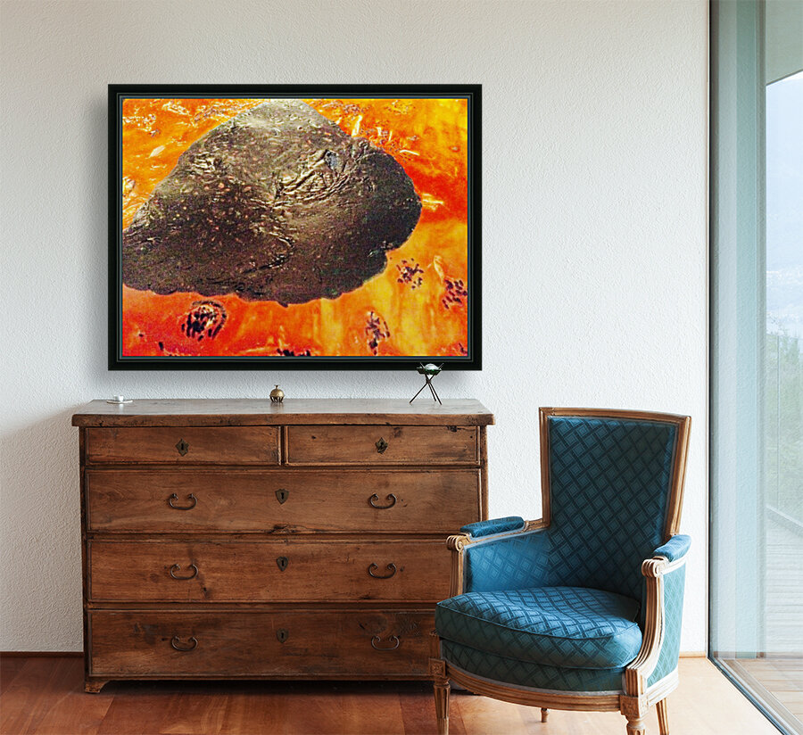 Asteroid  king           Reproduction