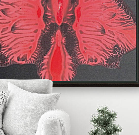                                         The moth Reproduction