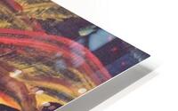                                Star fish HD Metal print