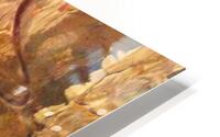 Sound waves.                                 HD Metal print