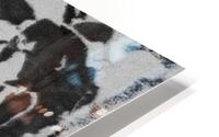          Mistreated.   Dog.                 HD Metal print
