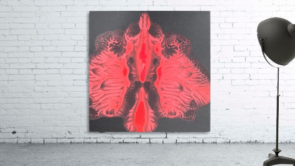                                         The moth Wall Preview