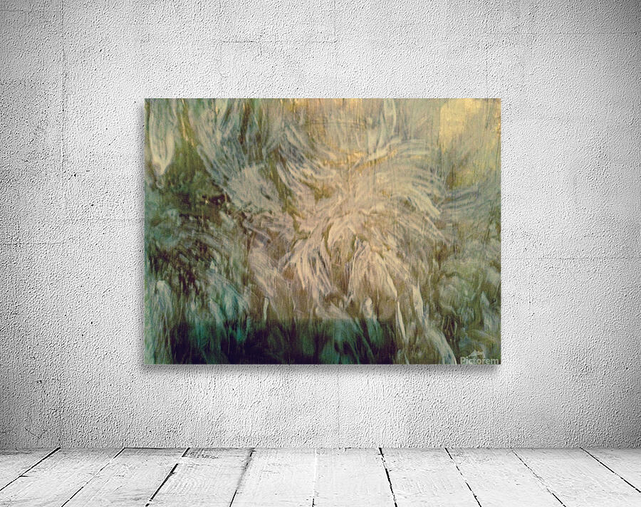       The ozone layer.                                Wall Preview