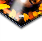 Glorious Acrylic print