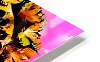 Courageous HD Metal print
