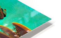 Amity HD Metal print