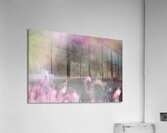 Flamingos Acrylic Print