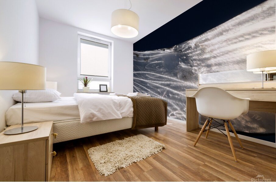 Stainless Mural print